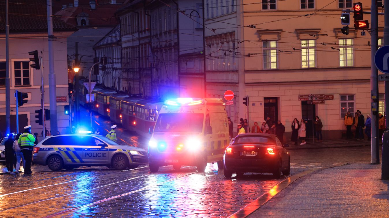 Rohant a bűnügy: emberi csontokra találtak Várpalotán kutyasétáltatás közben