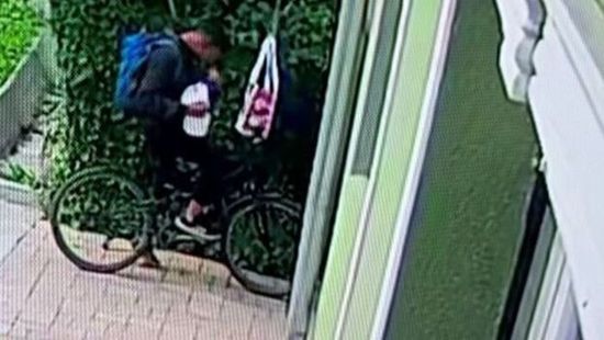Kajalopó rém dézsmálta meg a háziorvos rántott húsát Felsőtárkányban